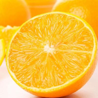 湘鲁脐橙4个（约2斤）